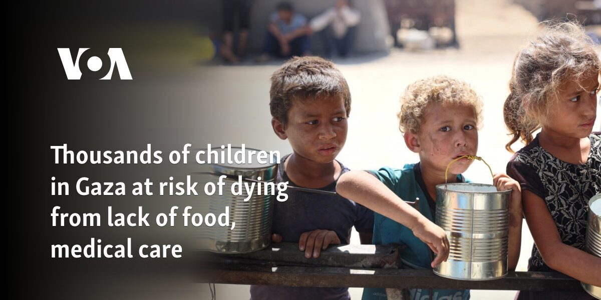 Thousands of children in Gaza at risk of dying from lack of food, medical care