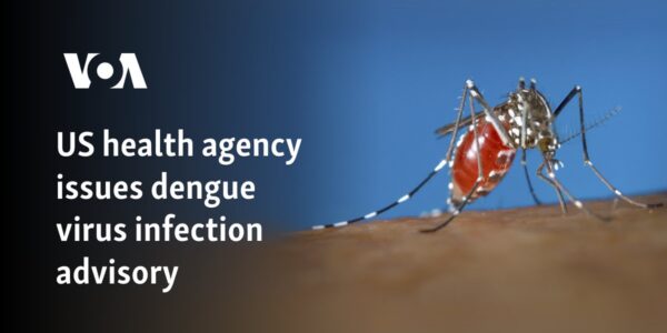 US health agency issues dengue virus infection advisory