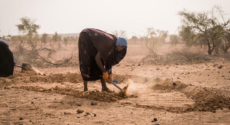 WFP increases response in West and Central Africa to address rising hunger