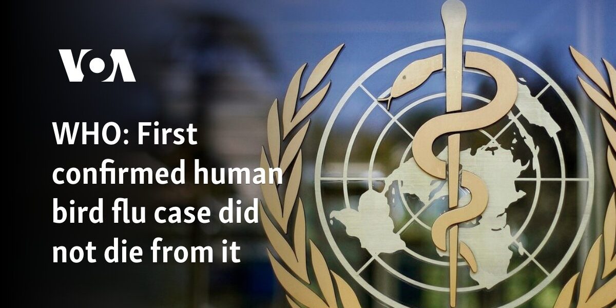 WHO: First confirmed human bird flu case did not die from it