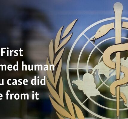 WHO: First confirmed human bird flu case did not die from it