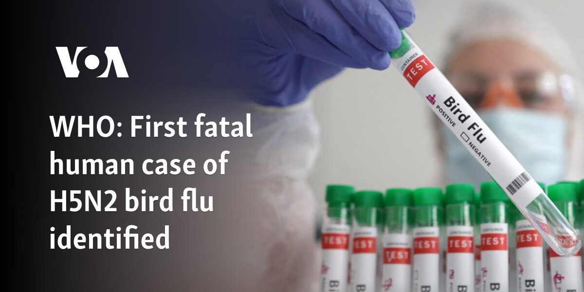 WHO: First fatal human case of H5N2 bird flu identified