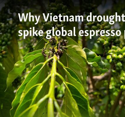 Why Vietnam drought may spike global espresso prices