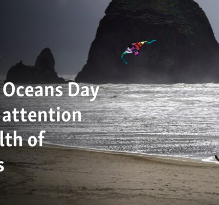 World Oceans Day draws attention to health of oceans