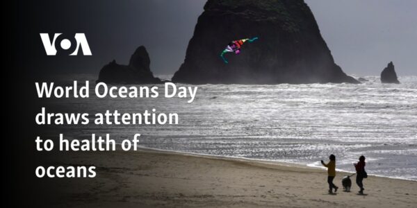 World Oceans Day draws attention to health of oceans