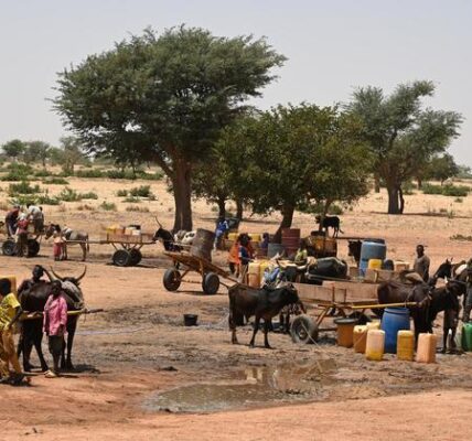 Attacks on civilians in Burkina Faso force thousands into neighbouring Niger