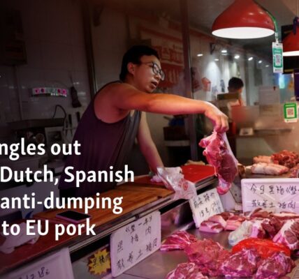 China singles out Danish, Dutch, Spanish firms in anti-dumping probe into EU pork