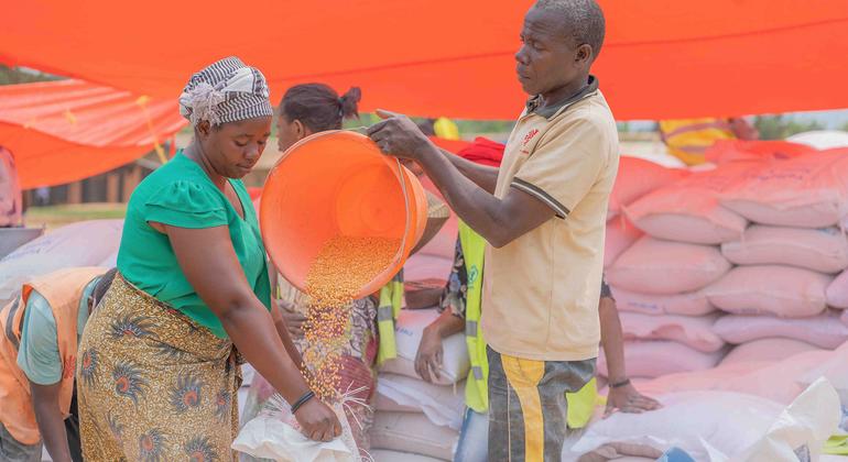 DR Congo: Conflict escalation linked to deadly Mpox threat