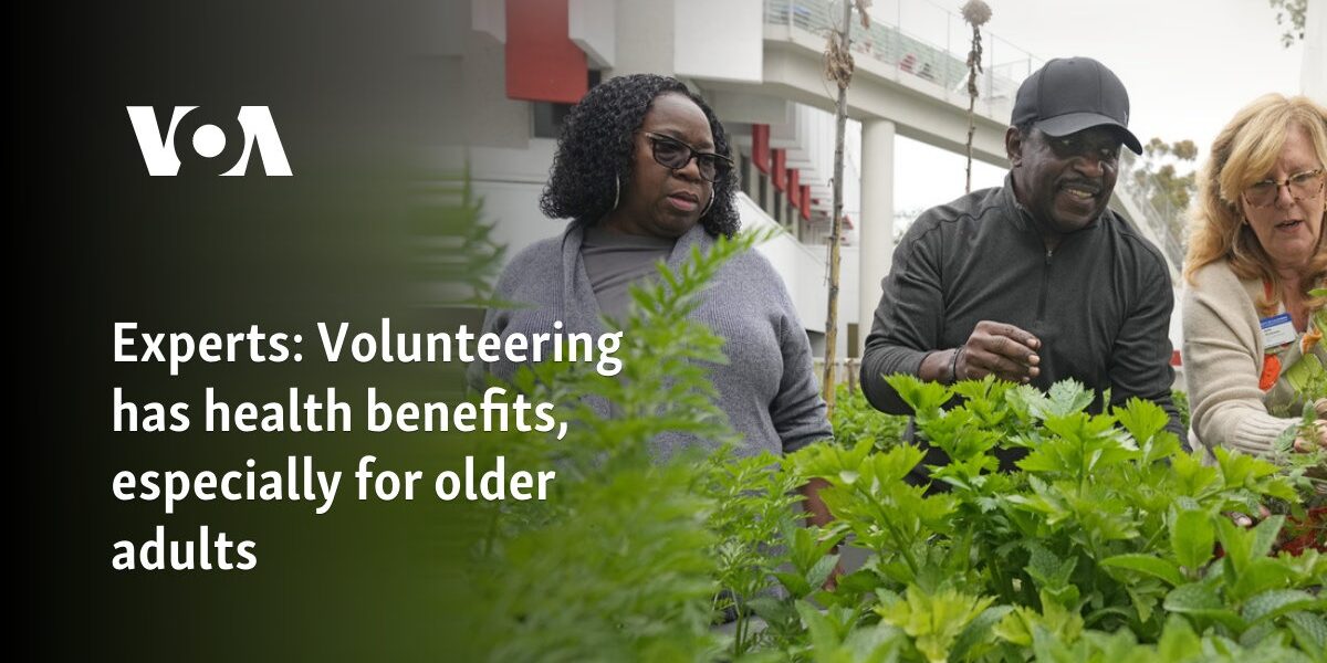 Experts: Volunteering has health benefits, especially for older adults