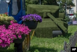 Flowers fill Ukrainian cities, providing beauty and hope amid war