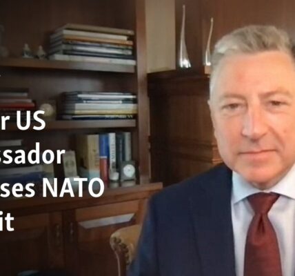 Former US ambassador discusses NATO summit