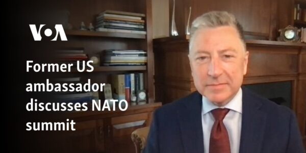 Former US ambassador discusses NATO summit