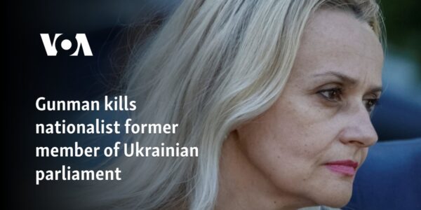 Gunman kills nationalist former member of Ukrainian parliament