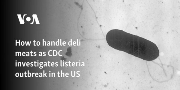 How to handle deli meats as CDC investigates listeria outbreak in the US