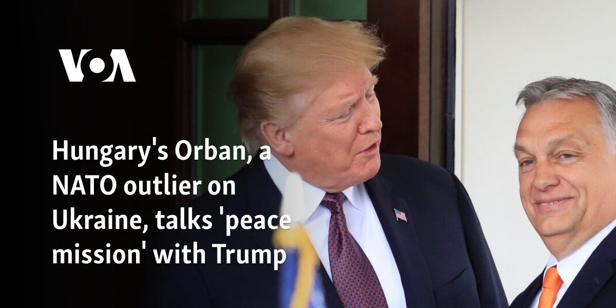 Hungary's Orban, a NATO outlier on Ukraine, talks 'peace mission' with Trump