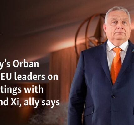 Hungary's Orban briefed EU leaders on his meetings with Putin and Xi, ally says