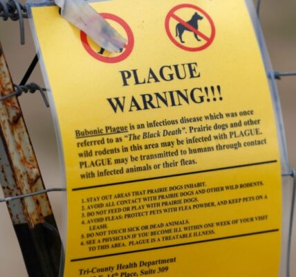 In US, plague is rare but not eliminated