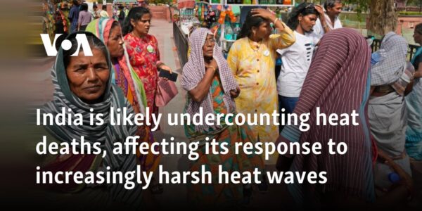 India is likely undercounting heat deaths, affecting its response to increasingly harsh heat waves