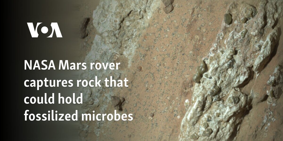 NASA Mars rover captures rock that could hold fossilized microbes