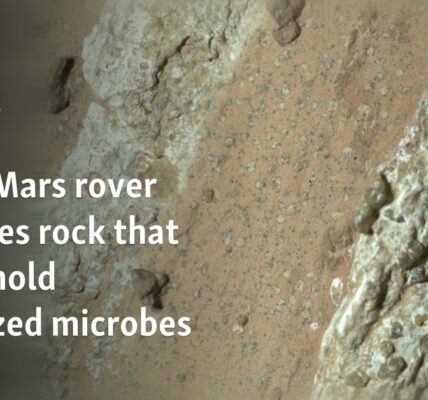 NASA Mars rover captures rock that could hold fossilized microbes