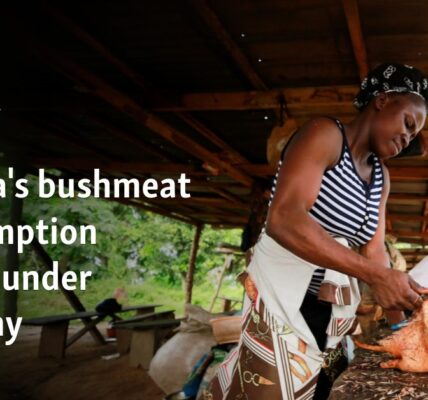 Nigeria's bushmeat consumption comes under scrutiny