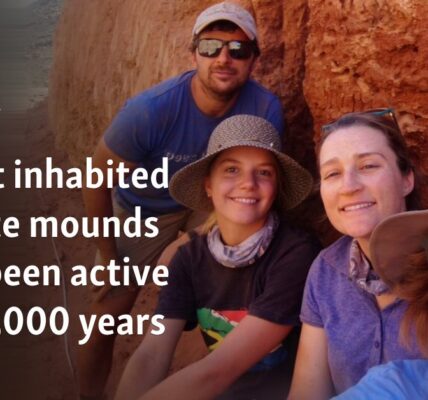 Oldest inhabited termite mounds have been active for 34,000 years