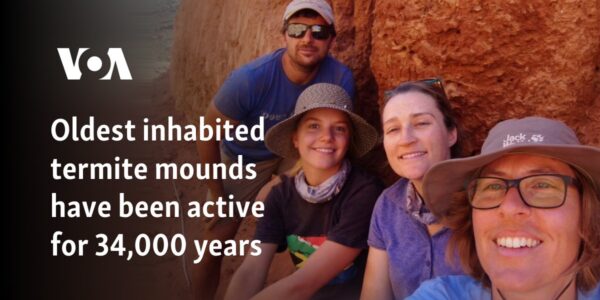 Oldest inhabited termite mounds have been active for 34,000 years