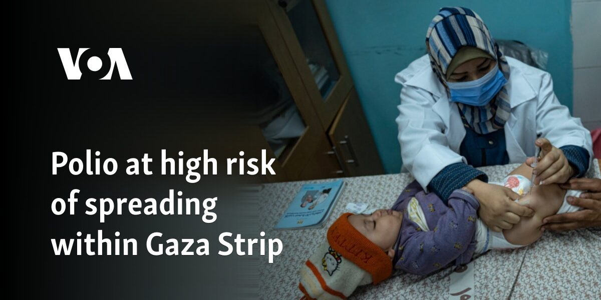 Polio at high risk of spreading within Gaza Strip