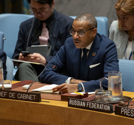 Security Council debates Gaza crisis, as civilian suffering continues unabated