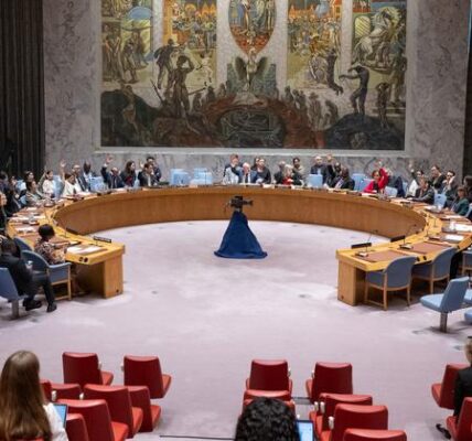 Security Council lifts arms embargo on Central African Republic forces