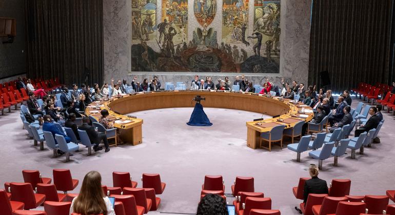 Security Council lifts arms embargo on Central African Republic forces