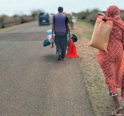 Sudan: 800,000 still trapped in El Fasher where supplies running out, warns WHO