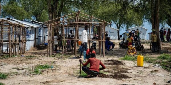 Tens of thousands displaced in fresh violence in DR Congo