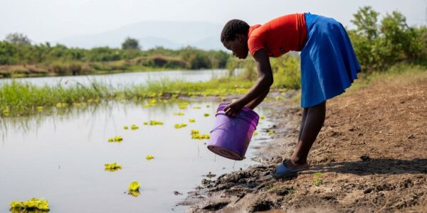 UN and partners launch emergency appeal to address severe drought in Malawi