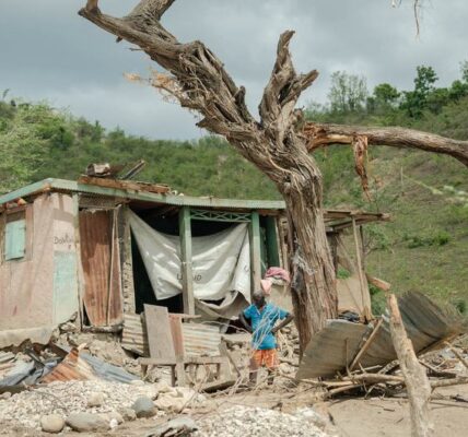 UN urges international solidarity as Hurricane Beryl devastates Caribbean islands