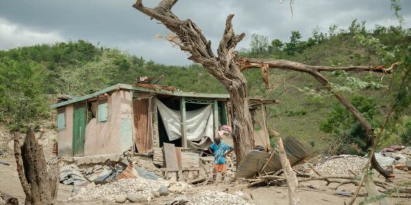 UN urges international solidarity as Hurricane Beryl devastates Caribbean islands