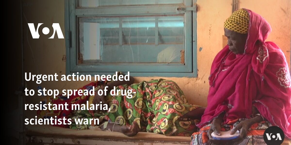 Urgent action needed to stop spread of drug-resistant malaria, scientists warn