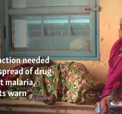 Urgent action needed to stop spread of drug-resistant malaria, scientists warn