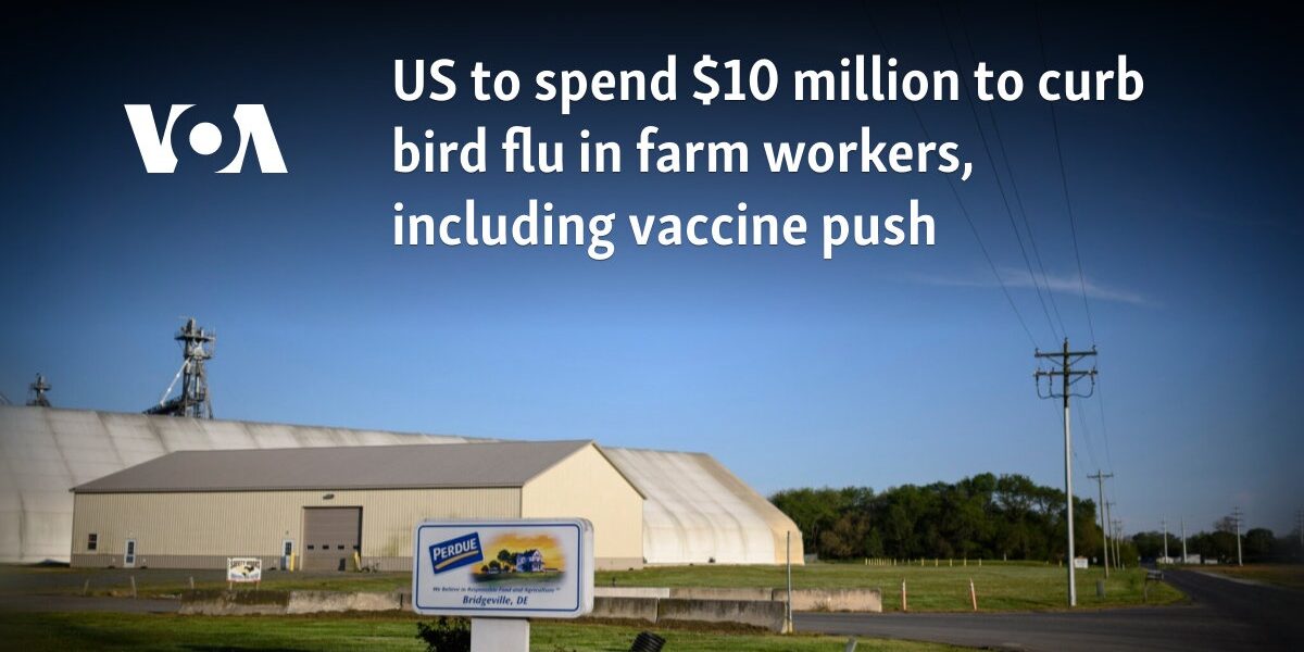 US to spend $10 million to curb bird flu in farm workers, including vaccine push