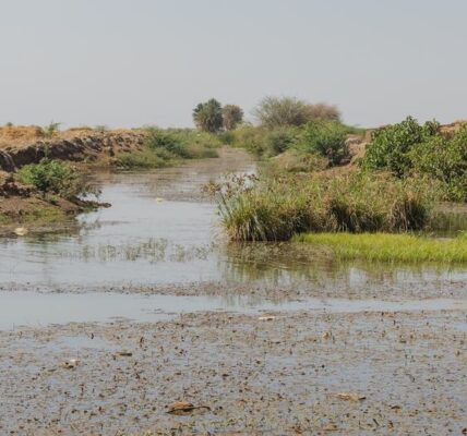 War-weary Sudanese face new hardships as floods strike