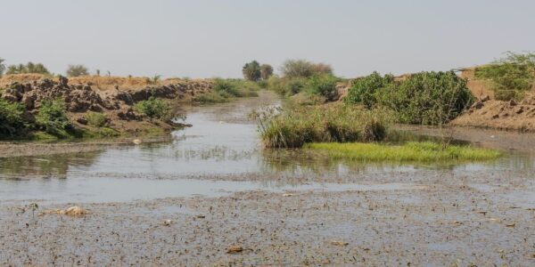 War-weary Sudanese face new hardships as floods strike