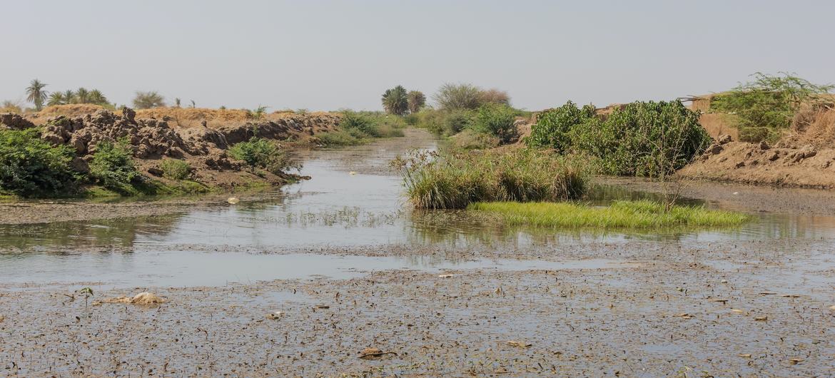 War-weary Sudanese face new hardships as floods strike