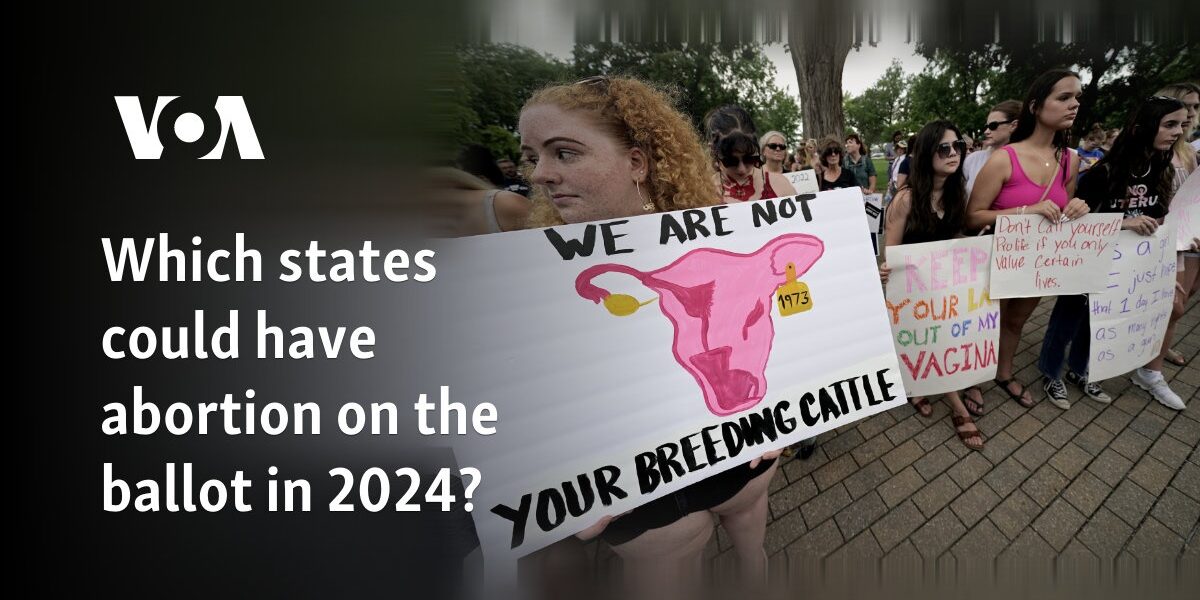 Which states could have abortion on the ballot in 2024?