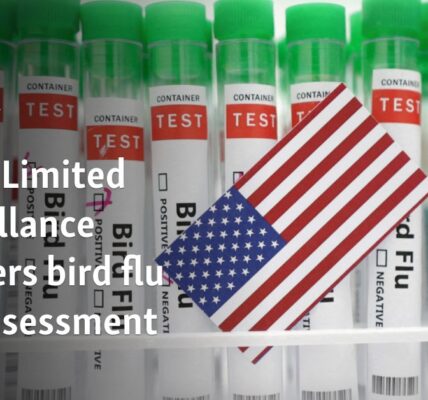 WHO: Limited surveillance hampers bird flu risk assessment