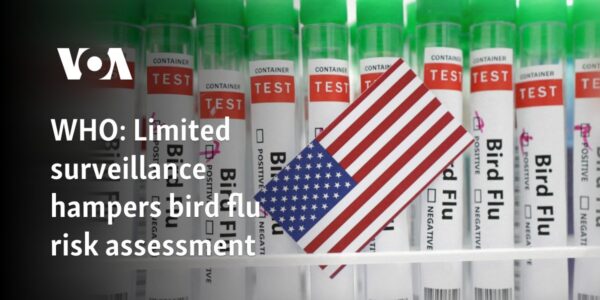 WHO: Limited surveillance hampers bird flu risk assessment