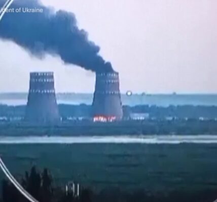 Atomic agency unable to name cause of fire at Ukraine nuclear plant