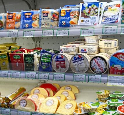 China questions, begins probe of European Union subsidies for dairy industry exports