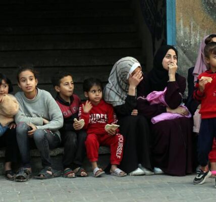 Gaza: UNRWA programme aims to get children ‘back to learning’