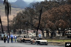 FILE - U.S. President Joe Biden and first lady Jill Biden walk with Hawaii Governor Josh Green and his wife, Jaime Green, with the nearly desiccated banyan tree at right, as they visit areas devastated by a wildfire, on Aug. 21, 2023, in Lahaina, Hawaii.