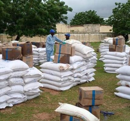 Humanitarian aid to Sudan civilians stalled by floods and violence